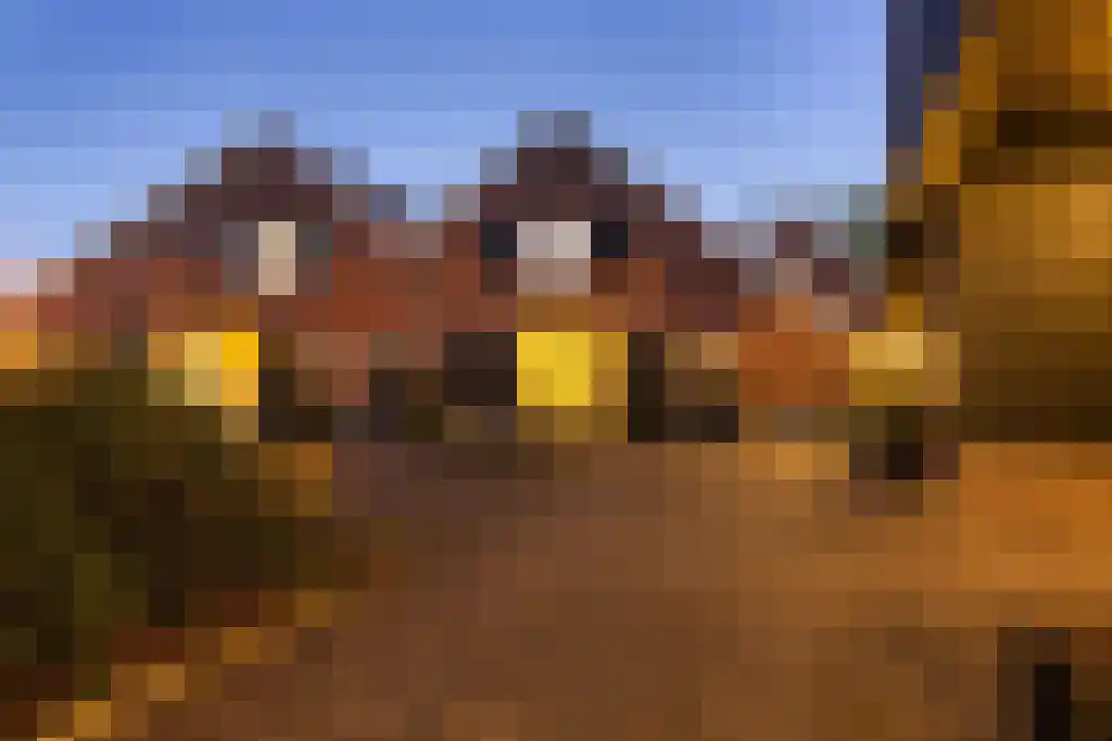 Spölmanweg 4 Oud Ootmarsum thumbnail 11