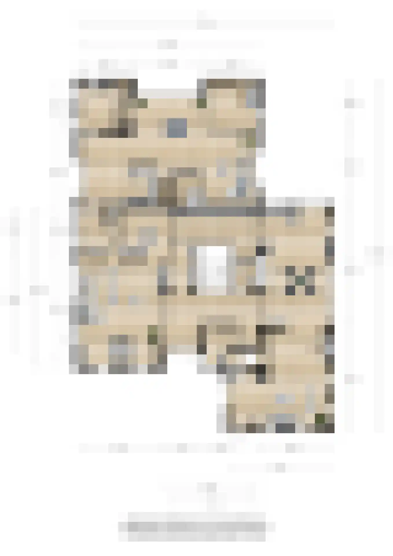Spölmanweg 4 Oud Ootmarsum thumbnail 110