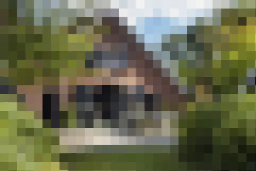 Spölmanweg 4 Oud Ootmarsum thumbnail 13