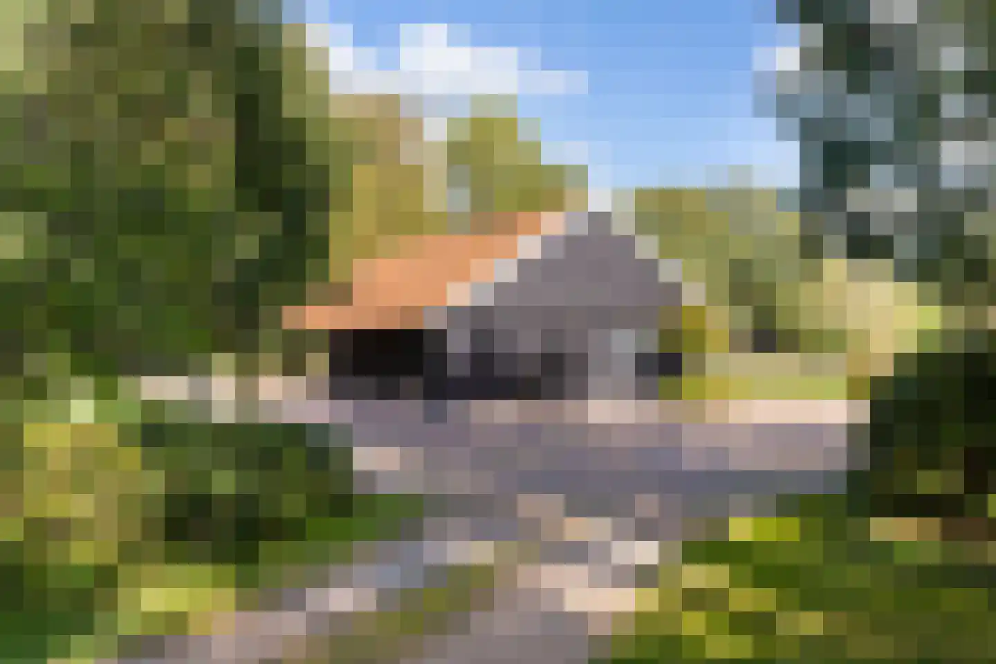 Spölmanweg 4 Oud Ootmarsum thumbnail 15