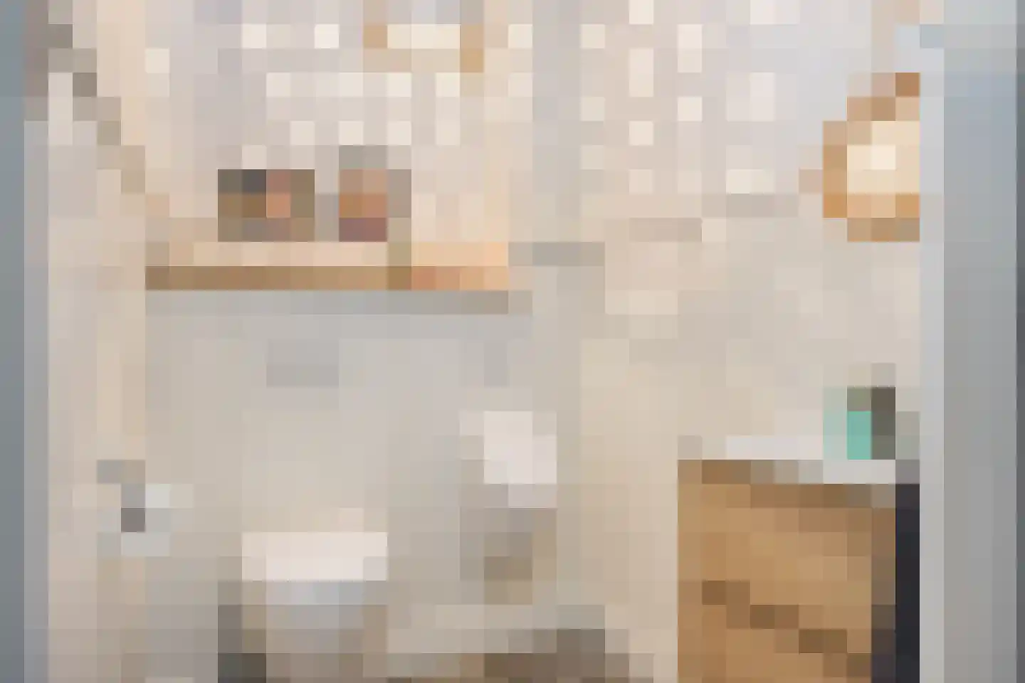 Spölmanweg 4 Oud Ootmarsum thumbnail 18