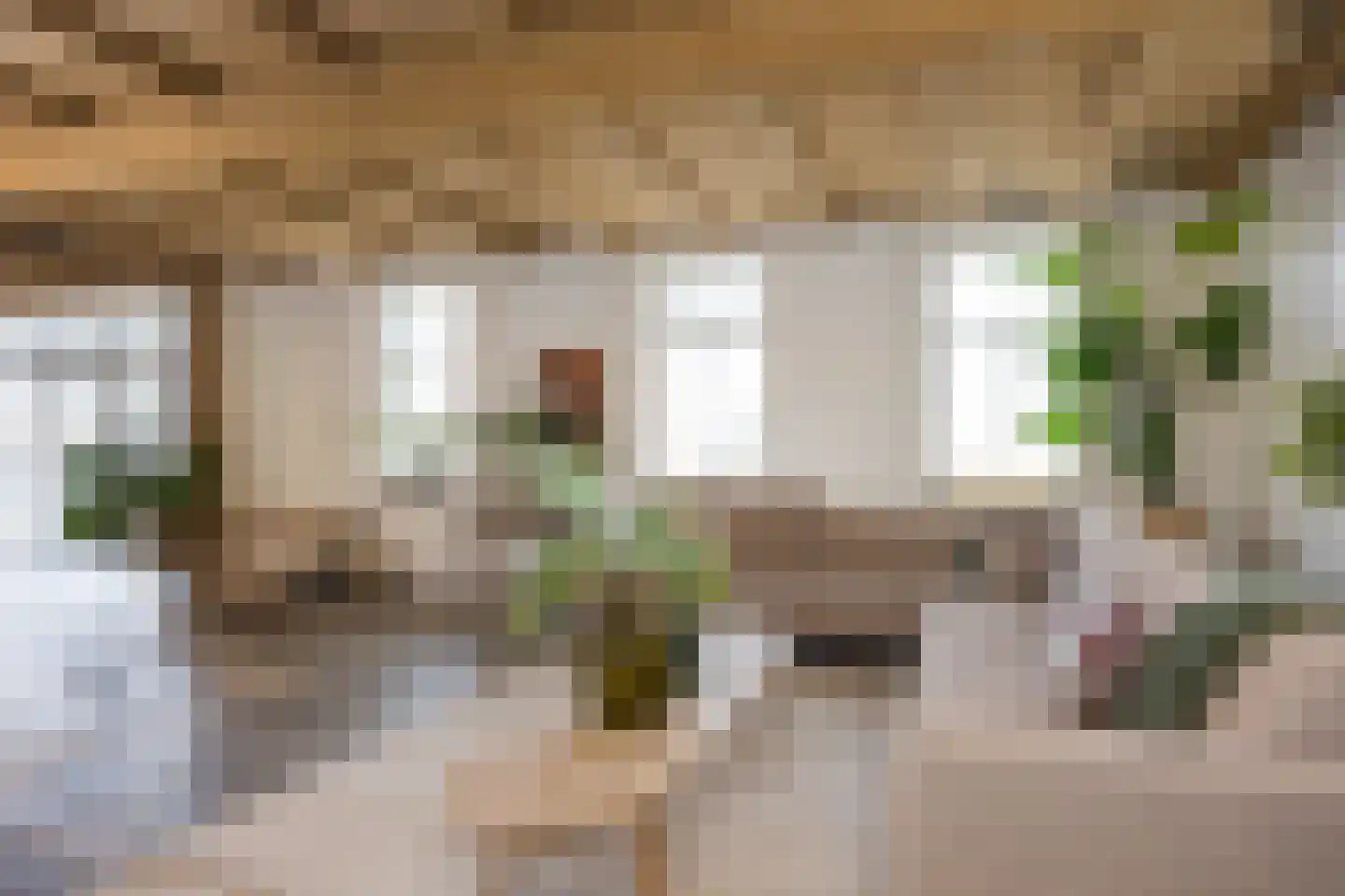 Spölmanweg 4 Oud Ootmarsum thumbnail 21