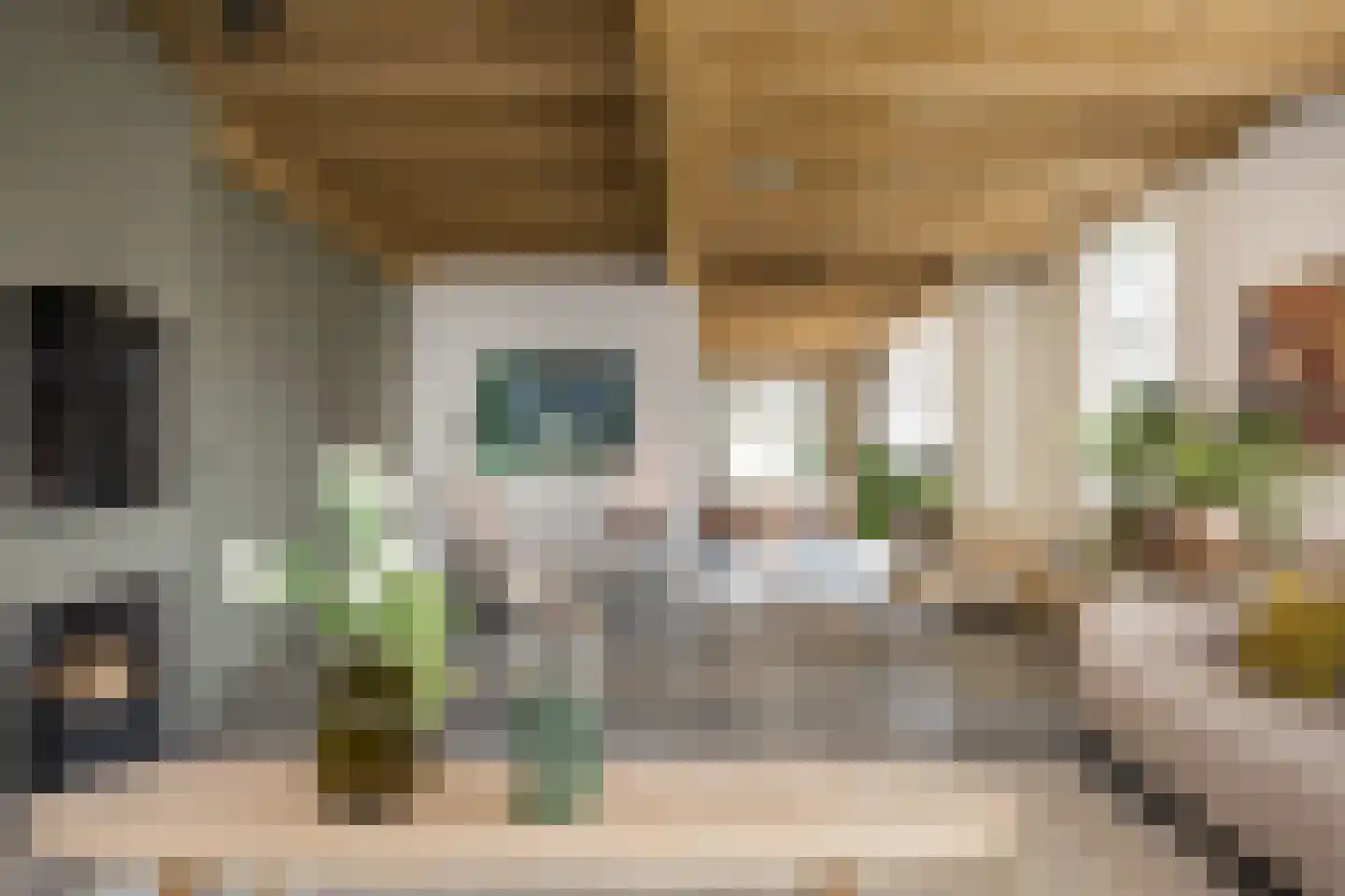 Spölmanweg 4 Oud Ootmarsum thumbnail 23