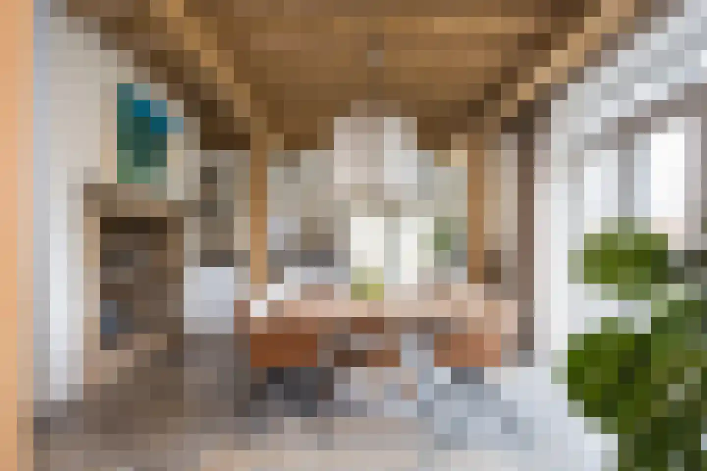 Spölmanweg 4 Oud Ootmarsum thumbnail 25