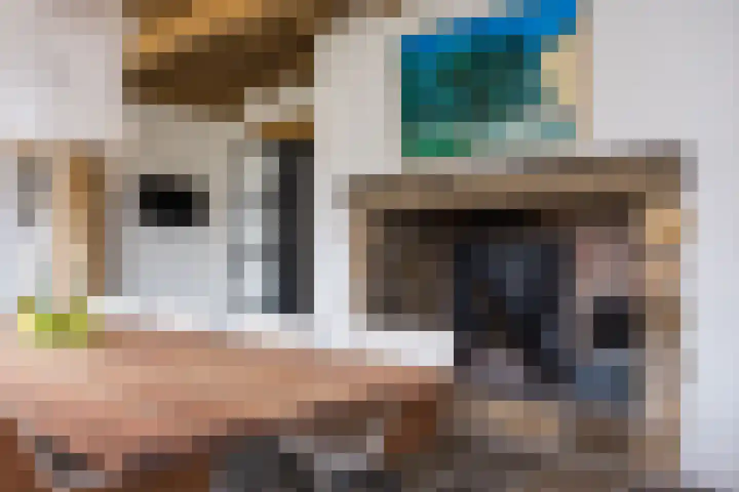Spölmanweg 4 Oud Ootmarsum thumbnail 30
