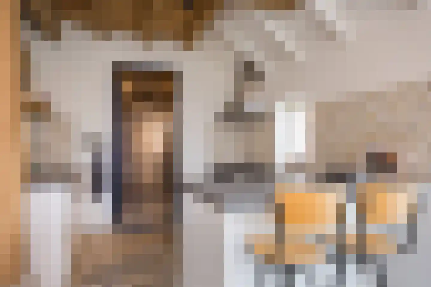 Spölmanweg 4 Oud Ootmarsum thumbnail 32