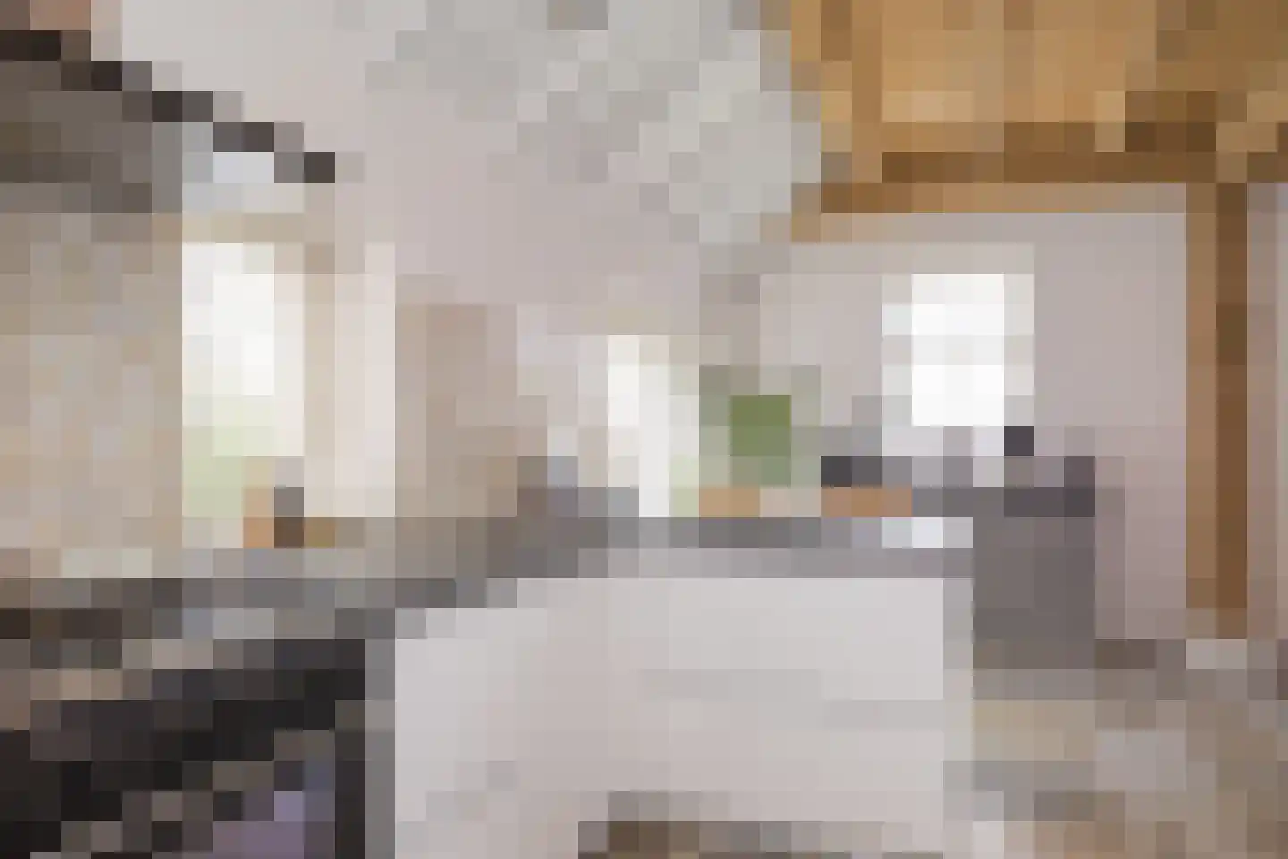 Spölmanweg 4 Oud Ootmarsum thumbnail 33