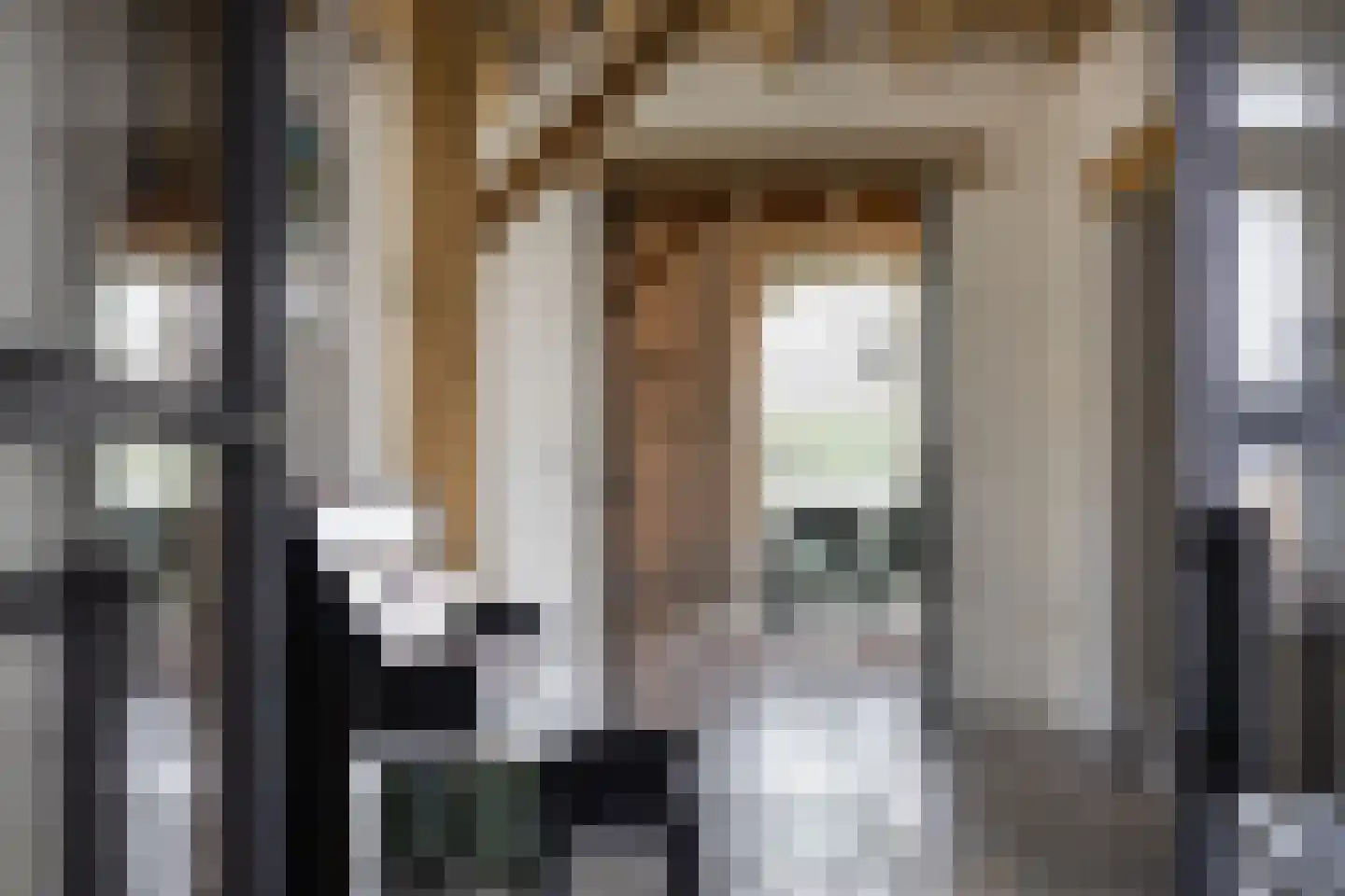 Spölmanweg 4 Oud Ootmarsum thumbnail 35