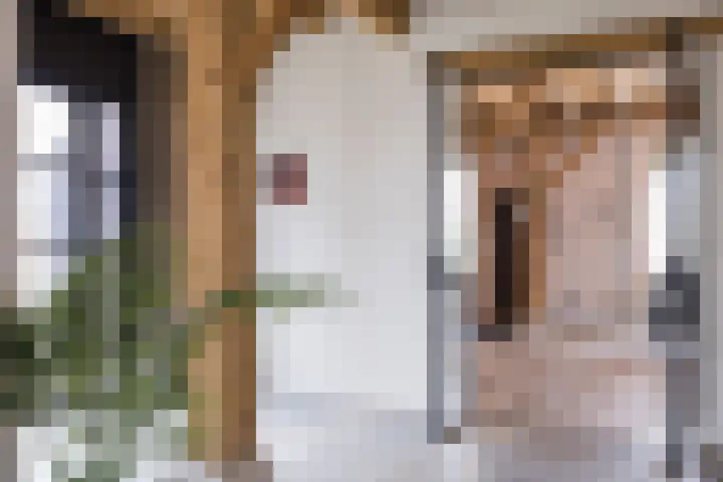 Spölmanweg 4 Oud Ootmarsum thumbnail 36