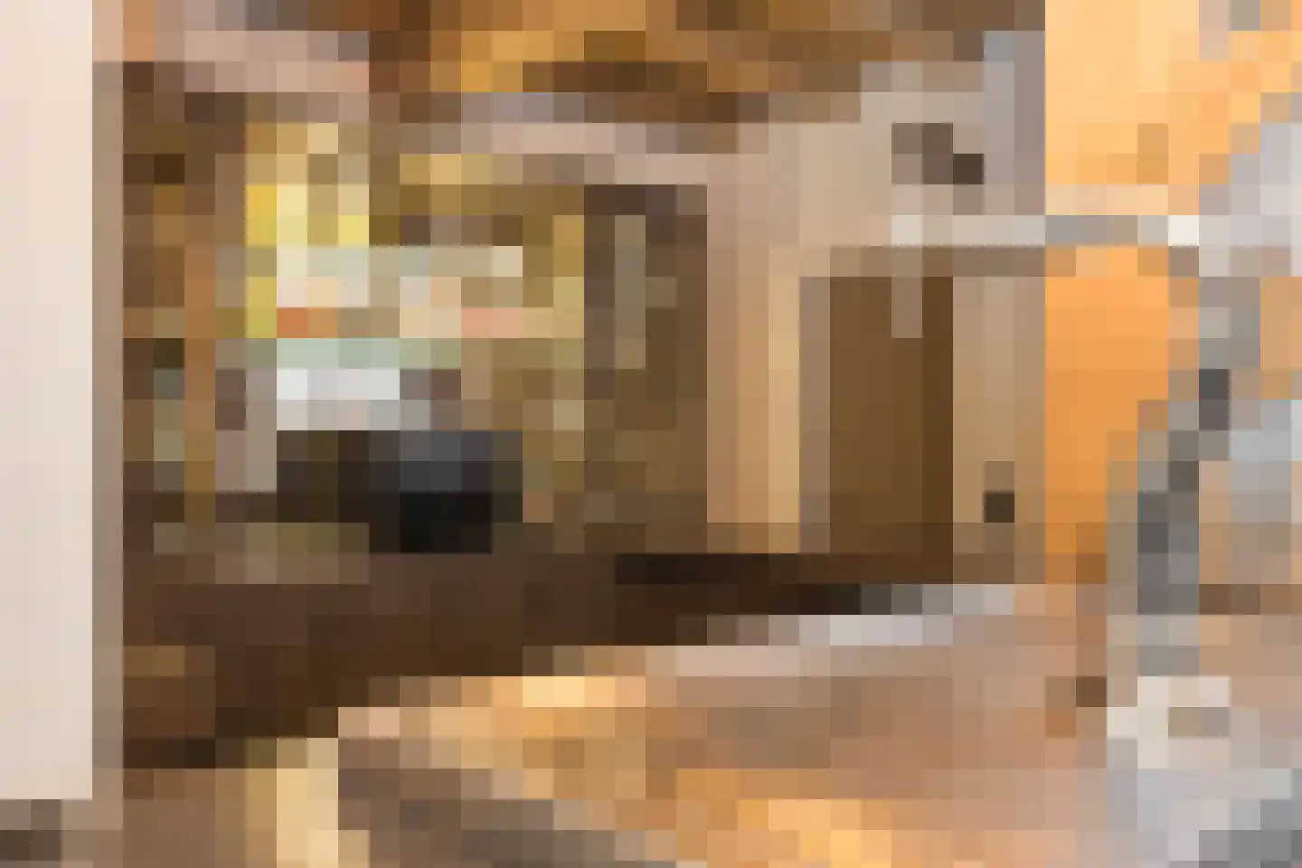 Spölmanweg 4 Oud Ootmarsum thumbnail 39