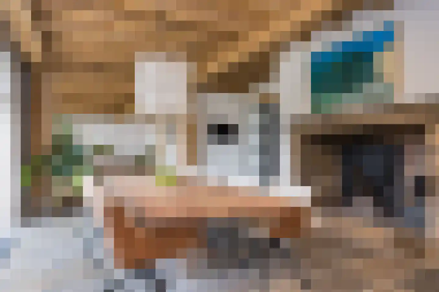 Spölmanweg 4 Oud Ootmarsum thumbnail 4