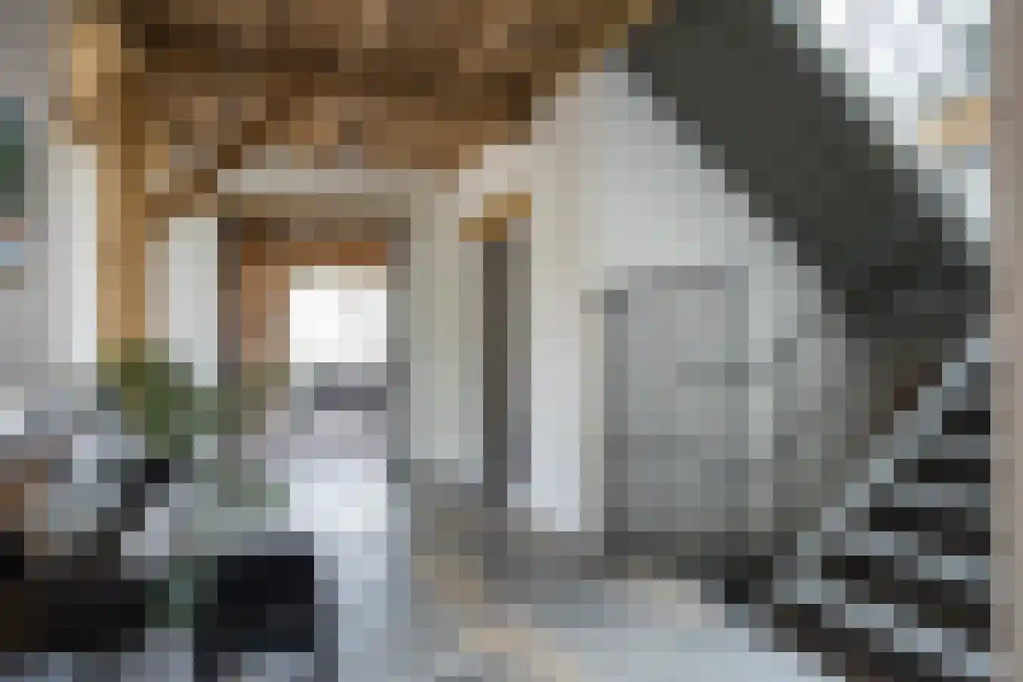 Spölmanweg 4 Oud Ootmarsum thumbnail 42