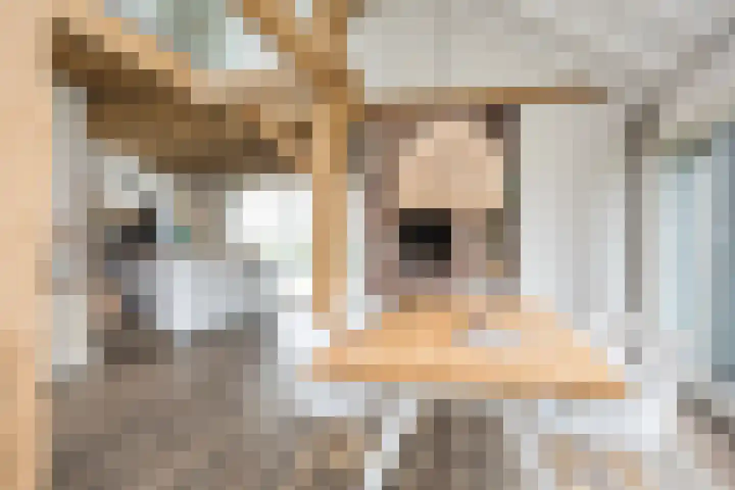 Spölmanweg 4 Oud Ootmarsum thumbnail 61