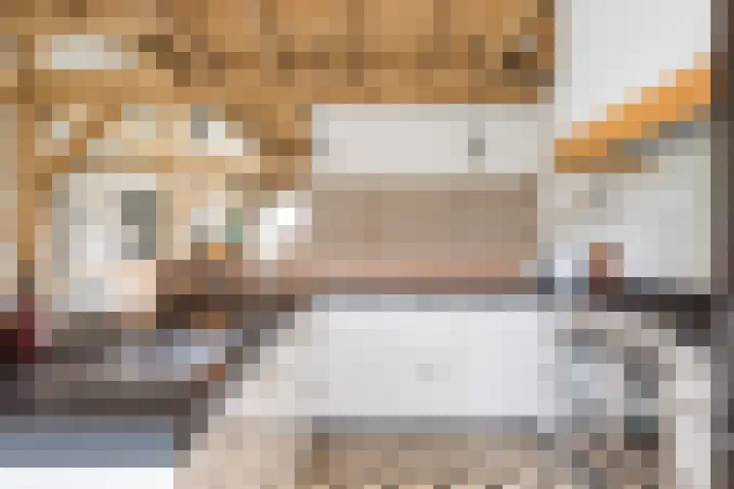 Spölmanweg 4 Oud Ootmarsum thumbnail 65