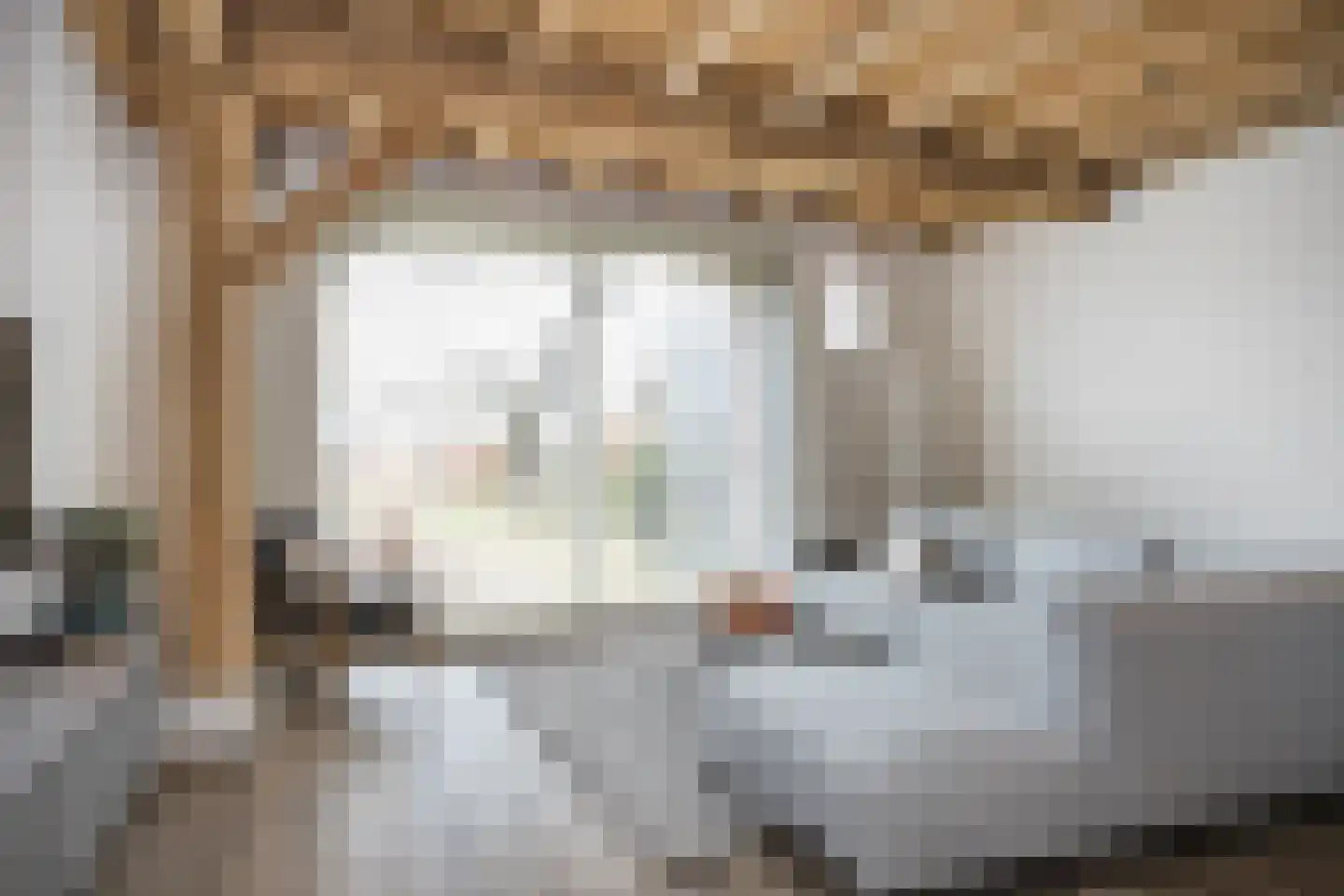 Spölmanweg 4 Oud Ootmarsum thumbnail 69