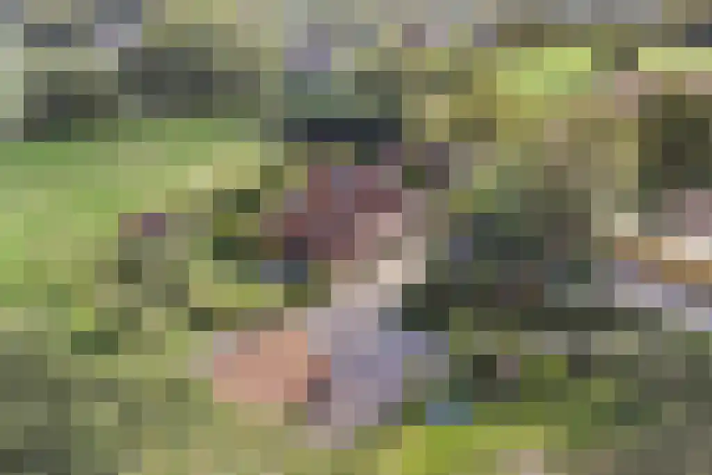 Spölmanweg 4 Oud Ootmarsum thumbnail 7