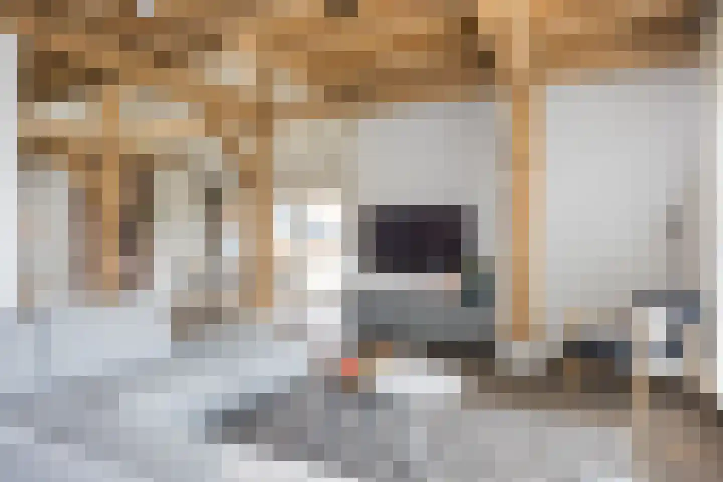 Spölmanweg 4 Oud Ootmarsum thumbnail 70