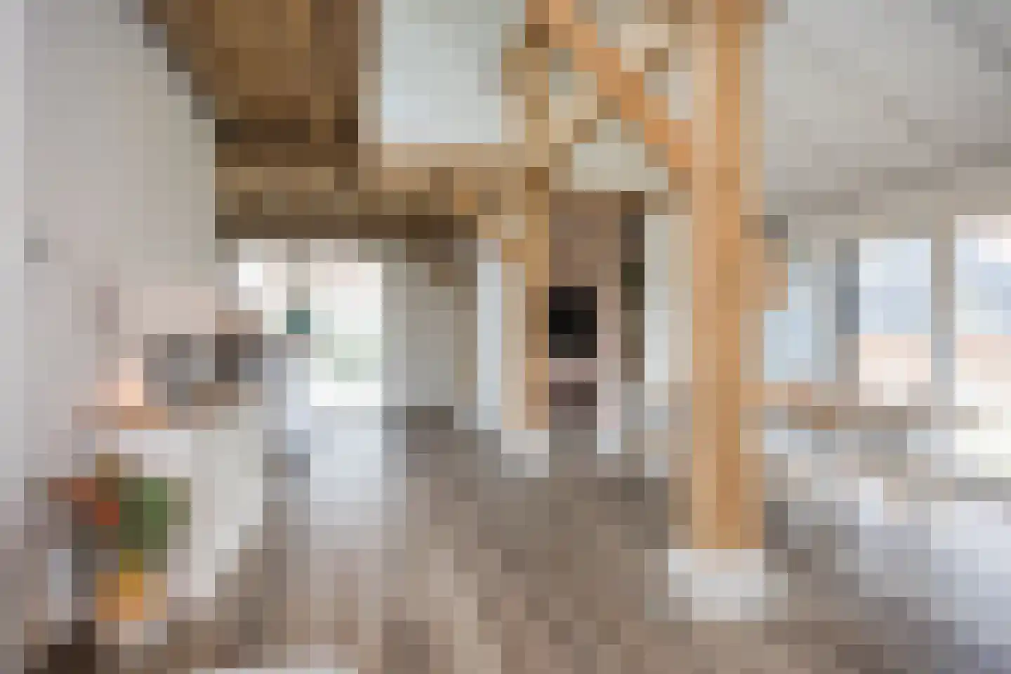 Spölmanweg 4 Oud Ootmarsum thumbnail 71