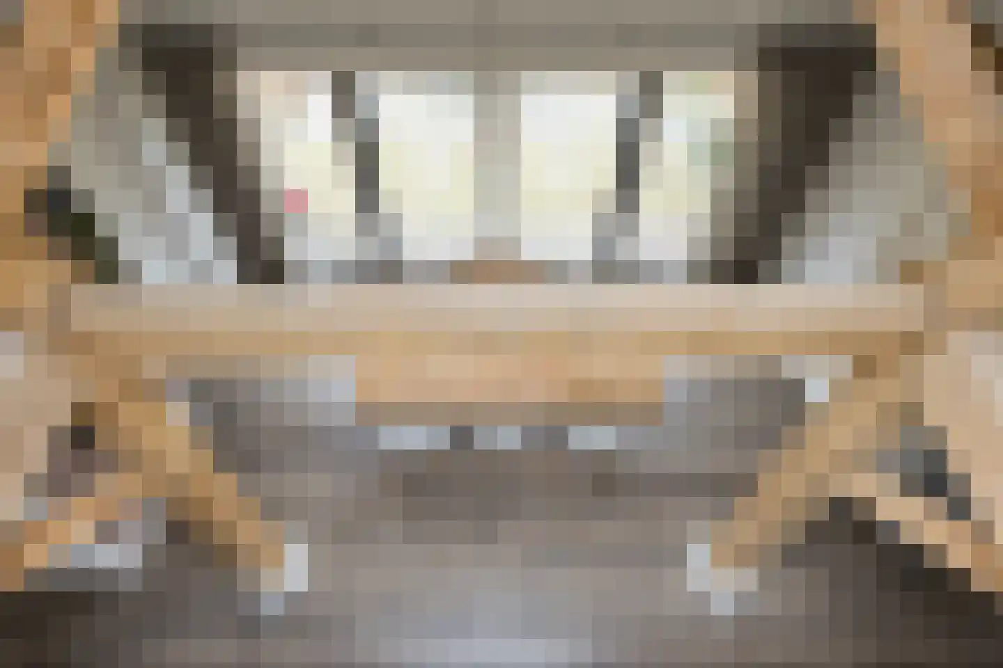 Spölmanweg 4 Oud Ootmarsum thumbnail 75