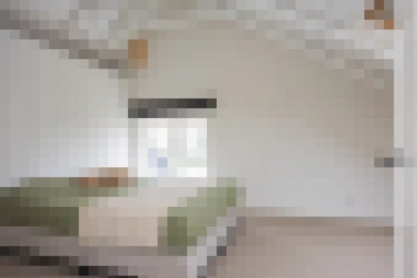 Spölmanweg 4 Oud Ootmarsum thumbnail 78