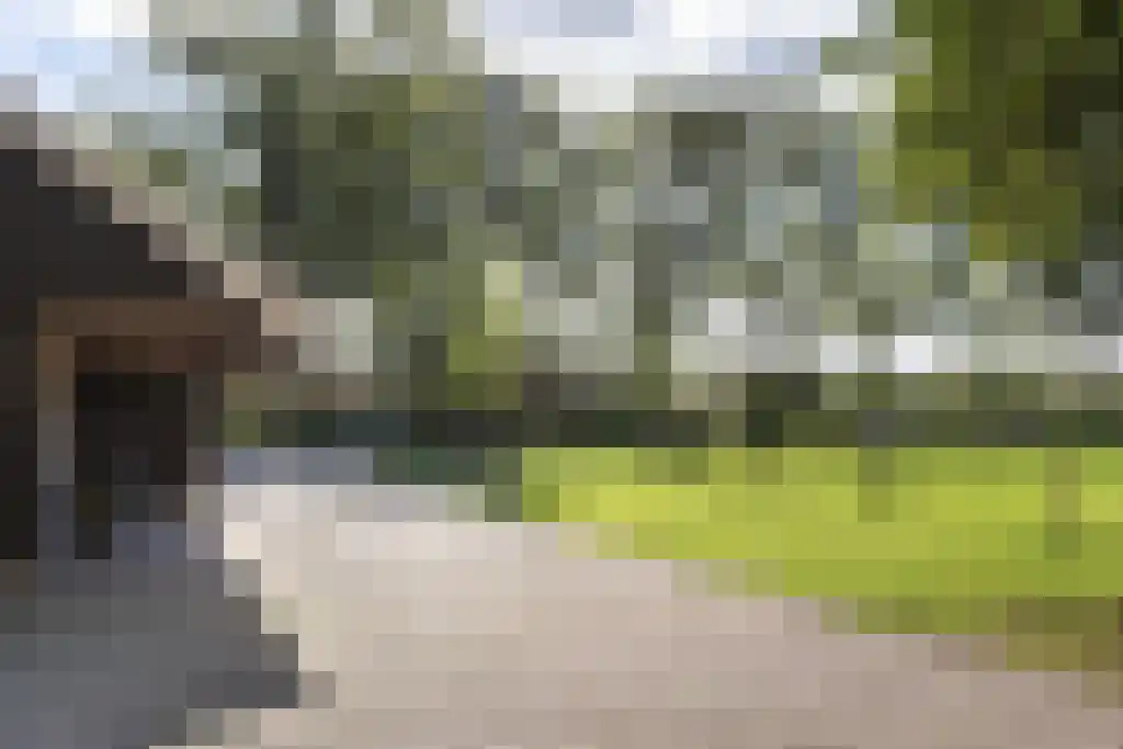 Spölmanweg 4 Oud Ootmarsum thumbnail 86