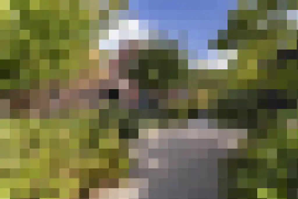 Spölmanweg 4 Oud Ootmarsum thumbnail 88
