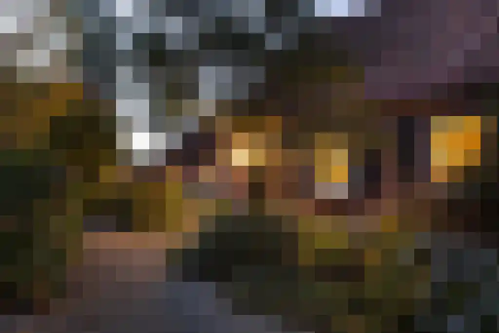 Spölmanweg 4 Oud Ootmarsum thumbnail 90