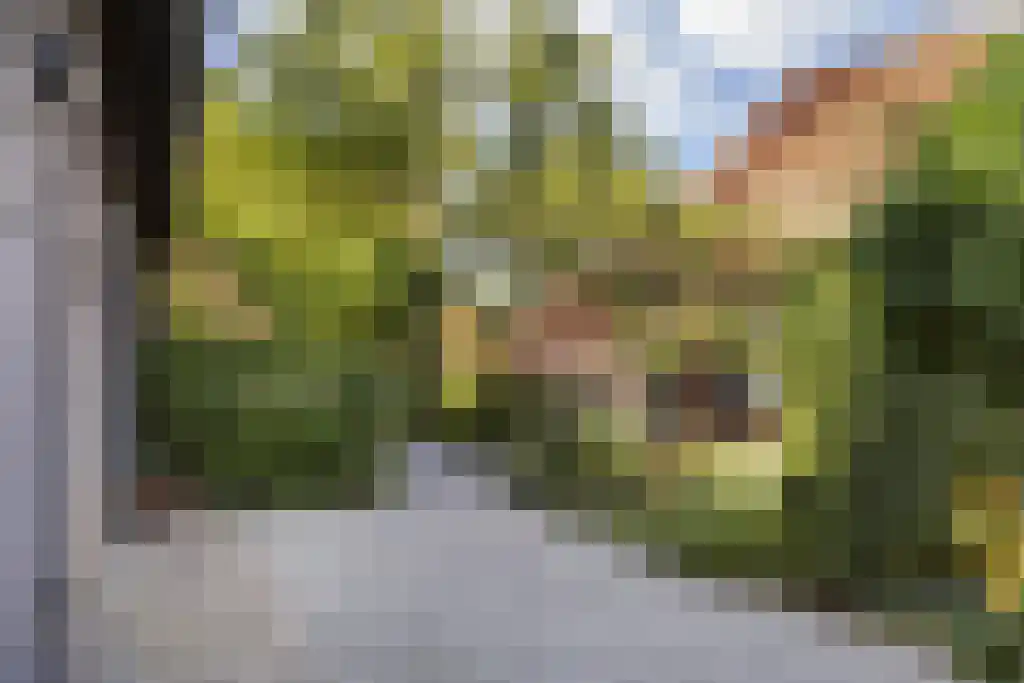 Spölmanweg 4 Oud Ootmarsum thumbnail 91