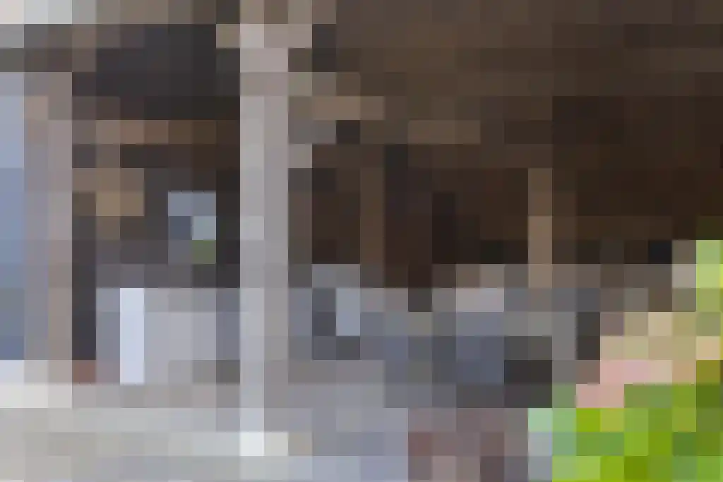 Spölmanweg 4 Oud Ootmarsum thumbnail 92