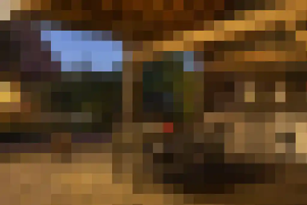 Spölmanweg 4 Oud Ootmarsum thumbnail 93