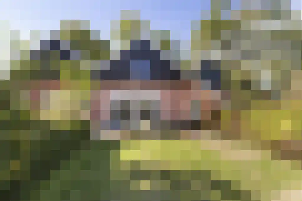 Spölmanweg 4 Oud Ootmarsum thumbnail 98