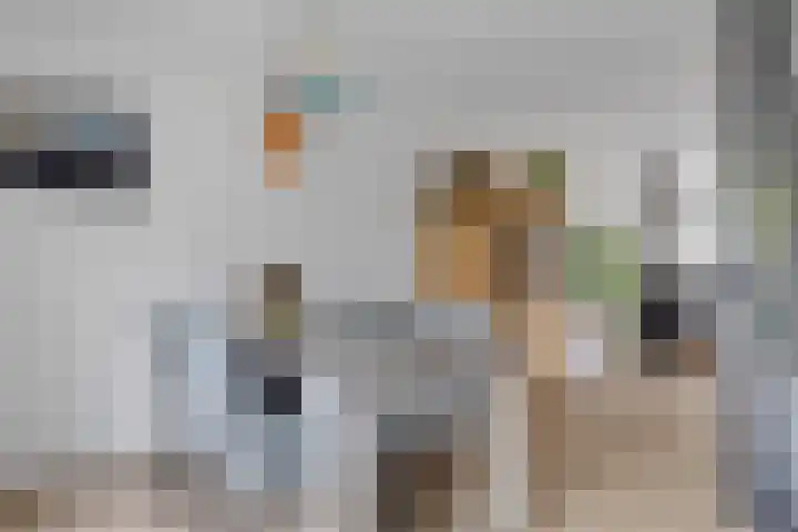 Sponturf 4 Drachten thumbnail 4