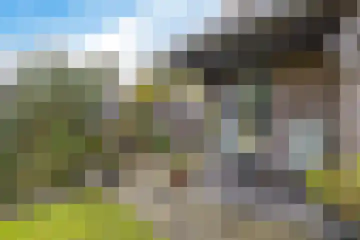 Sponturf 4 Drachten thumbnail 41