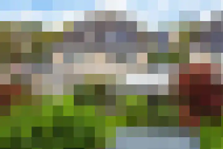 Sponturf 4 Drachten thumbnail 42