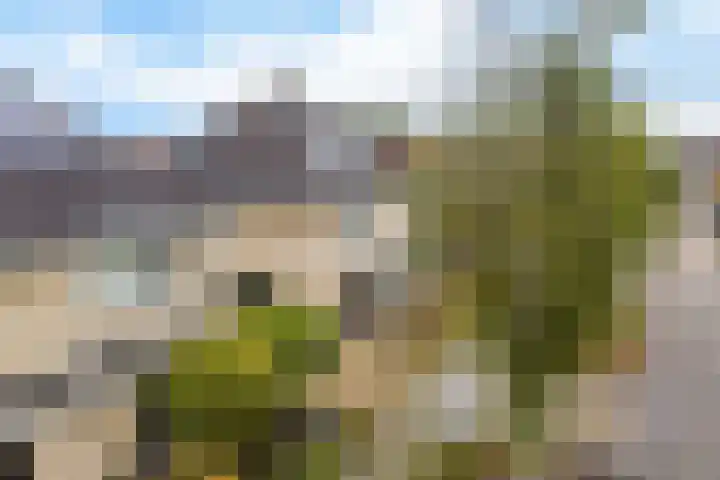 Sponturf 4 Drachten thumbnail 48