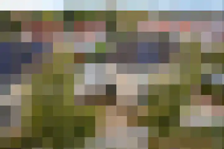 Sponturf 4 Drachten thumbnail 49