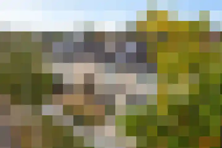 Sponturf 4 Drachten thumbnail 50