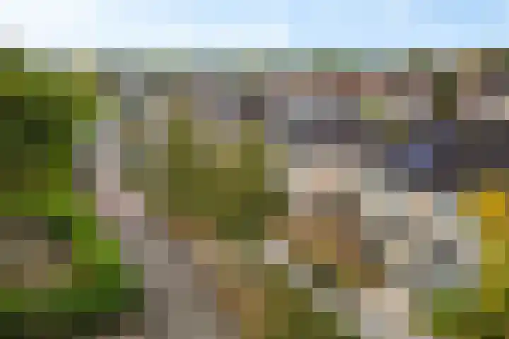Sponturf 4 Drachten thumbnail 51