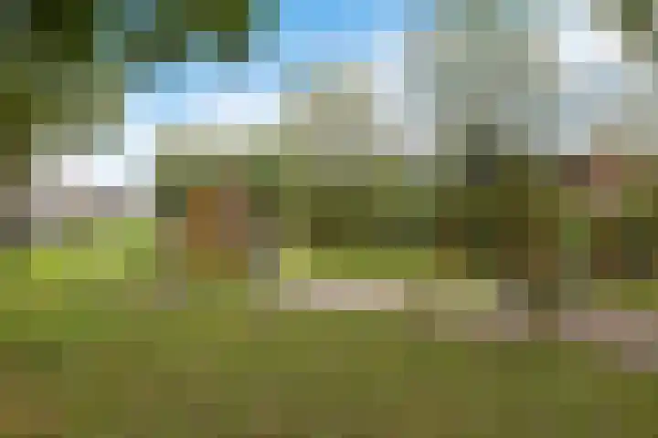 Sponturf 4 Drachten thumbnail 52