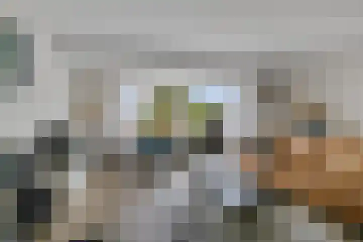 Sponturf 4 Drachten thumbnail 7