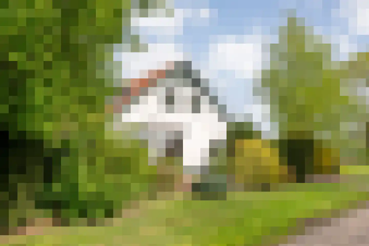 Sponturfwijk 16 in Balkbrug