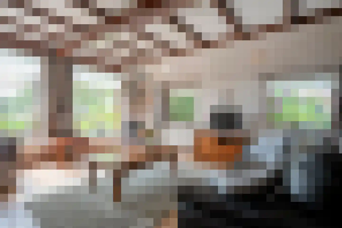 Sponturfwijk 16 Balkbrug thumbnail 13