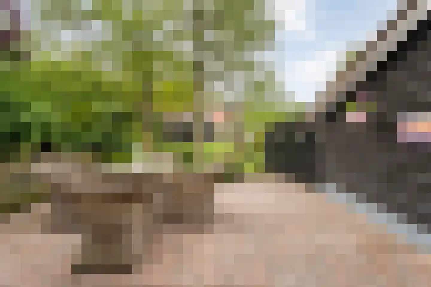 Sponturfwijk 16 Balkbrug thumbnail 35