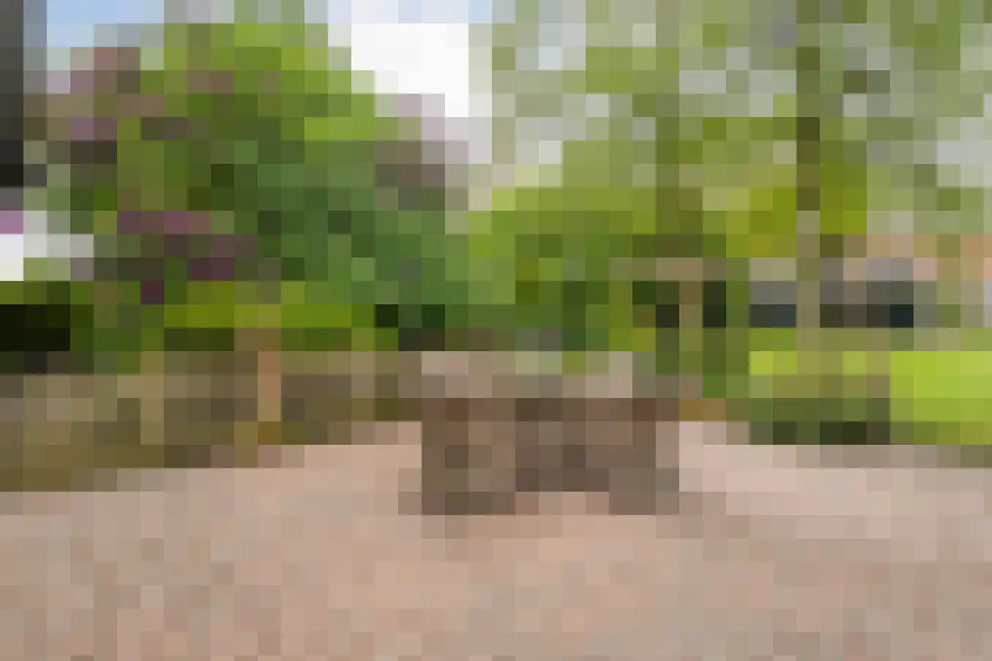 Sponturfwijk 16 Balkbrug thumbnail 36