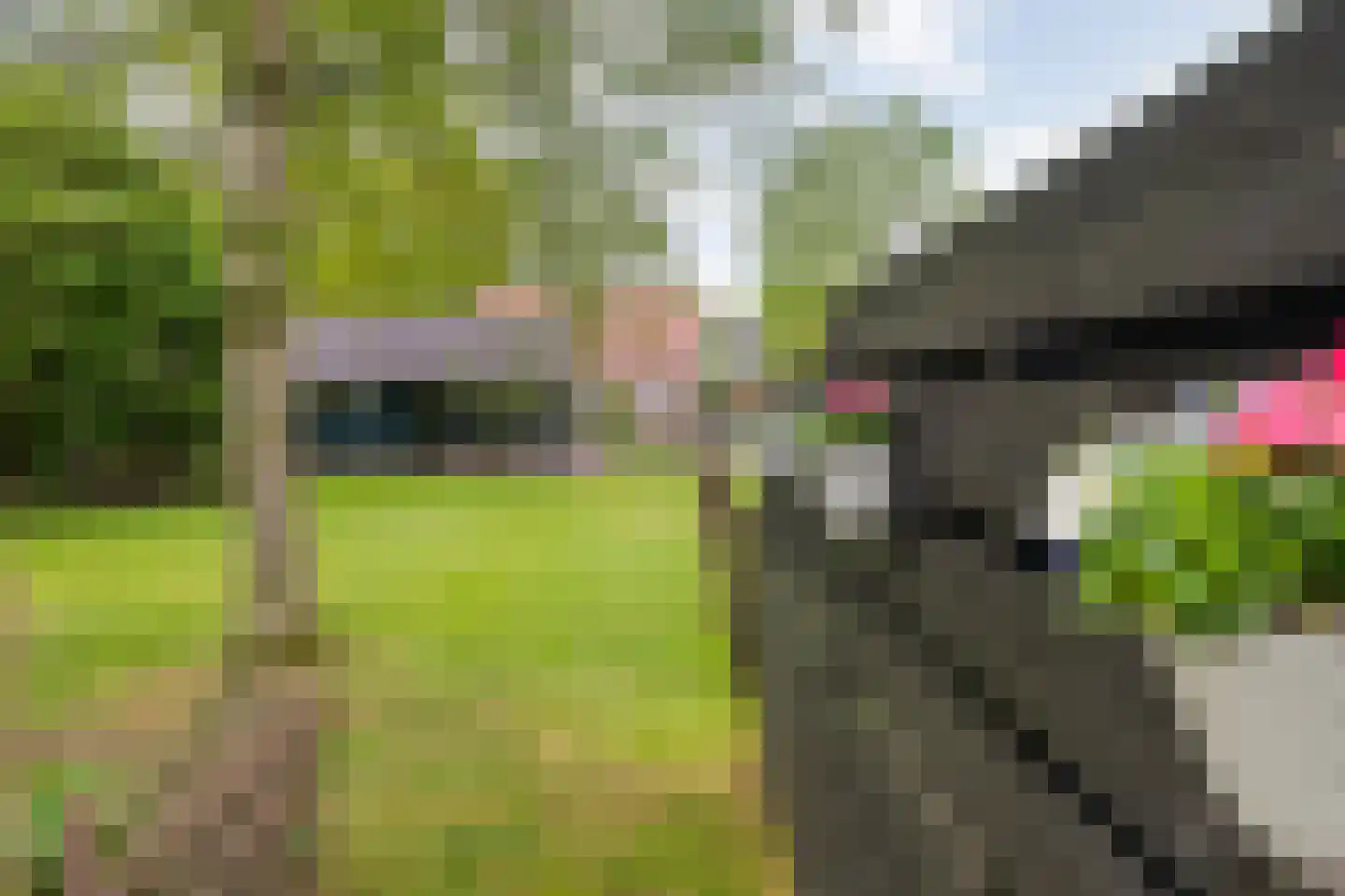 Sponturfwijk 16 Balkbrug thumbnail 37