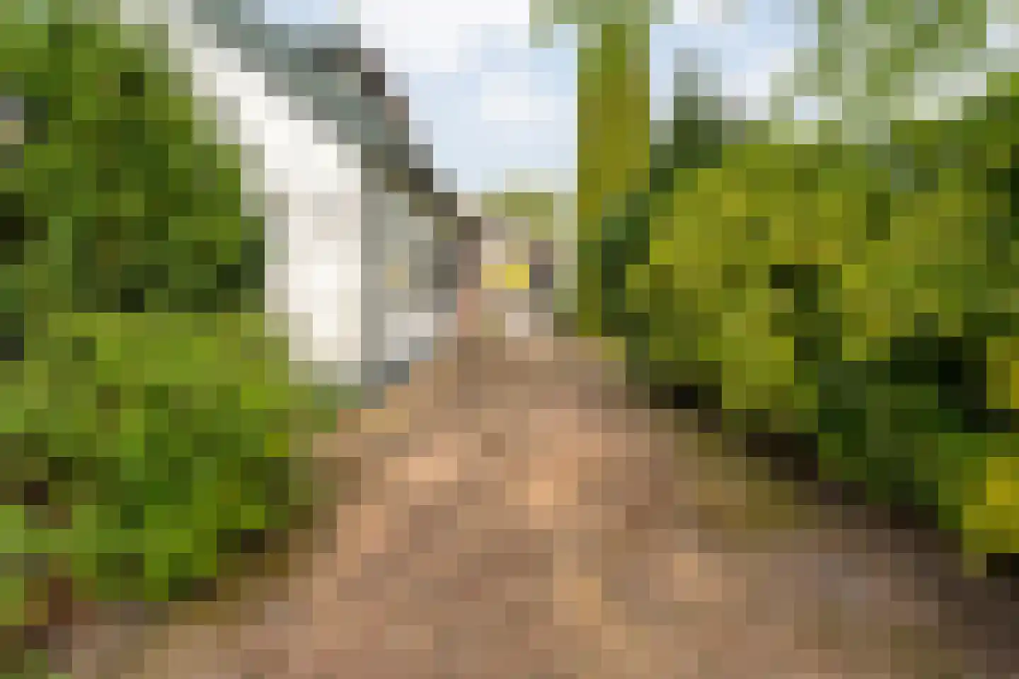 Sponturfwijk 16 Balkbrug thumbnail 4