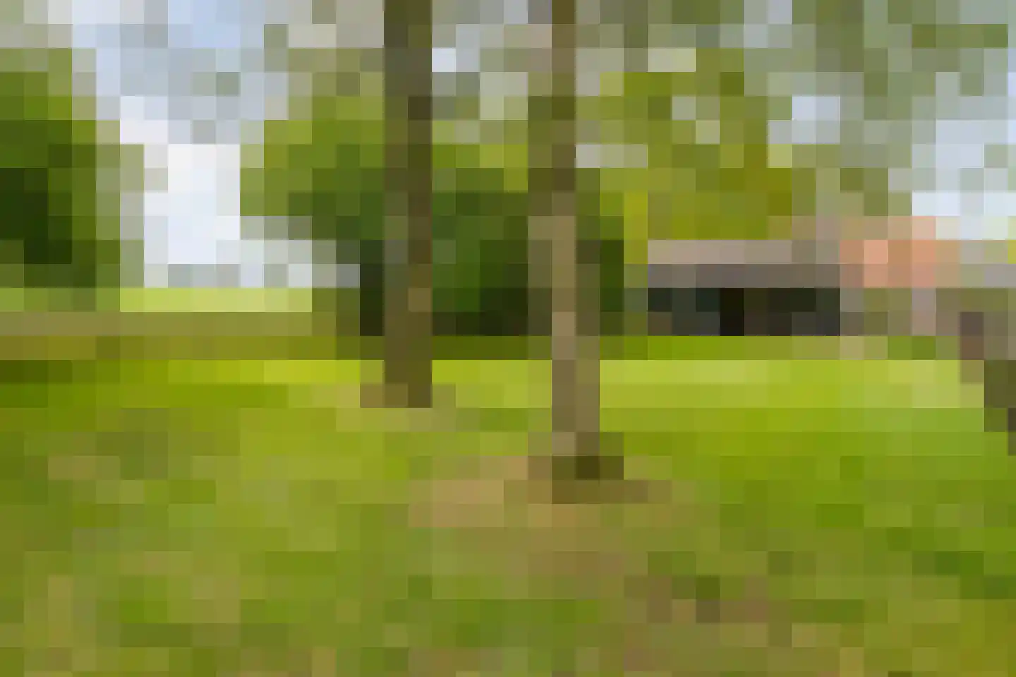 Sponturfwijk 16 Balkbrug thumbnail 40