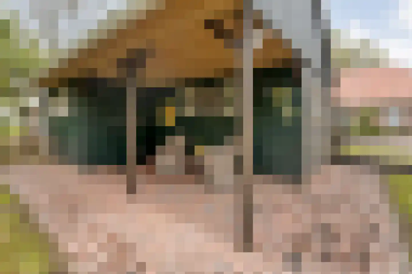 Sponturfwijk 16 Balkbrug thumbnail 41