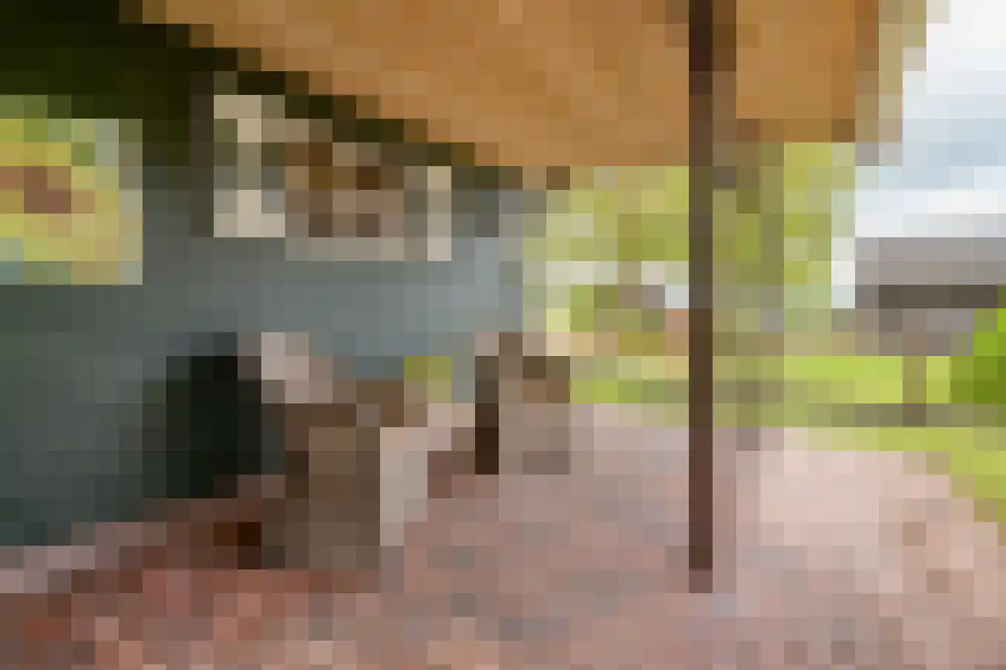 Sponturfwijk 16 Balkbrug thumbnail 42
