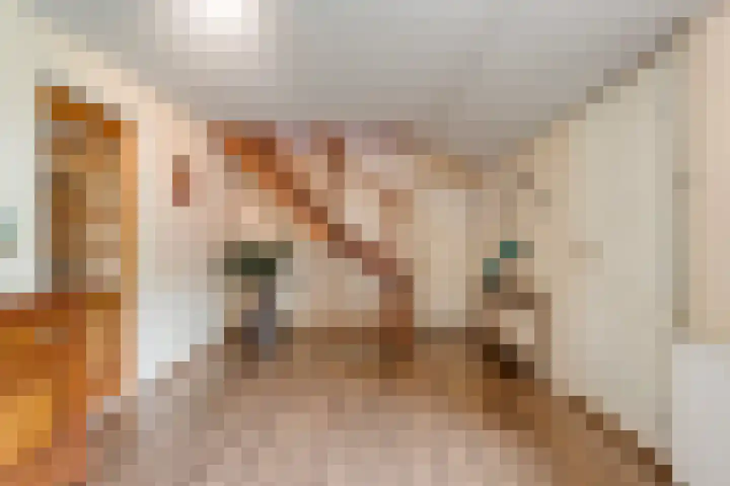 Sponturfwijk 16 Balkbrug thumbnail 6